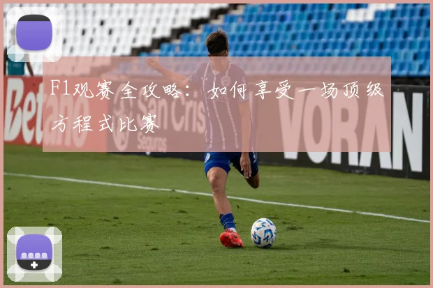 F1观赛全攻略:如何享受一场顶级方程式比赛