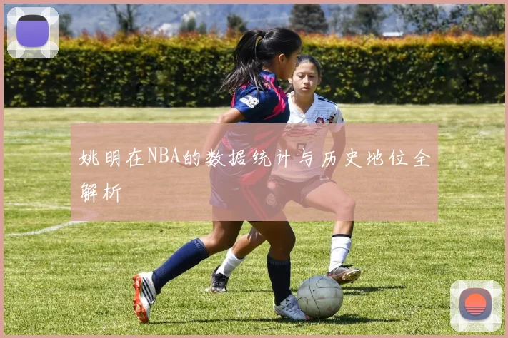 姚明在NBA的数据统计与历史地位全解析