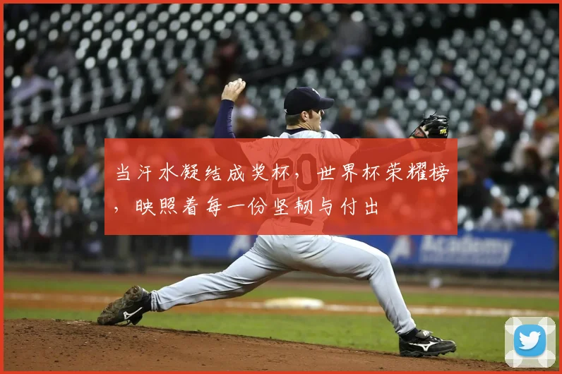 当汗水凝结成奖杯，世界杯荣耀榜，映照着每一份坚韧与付出